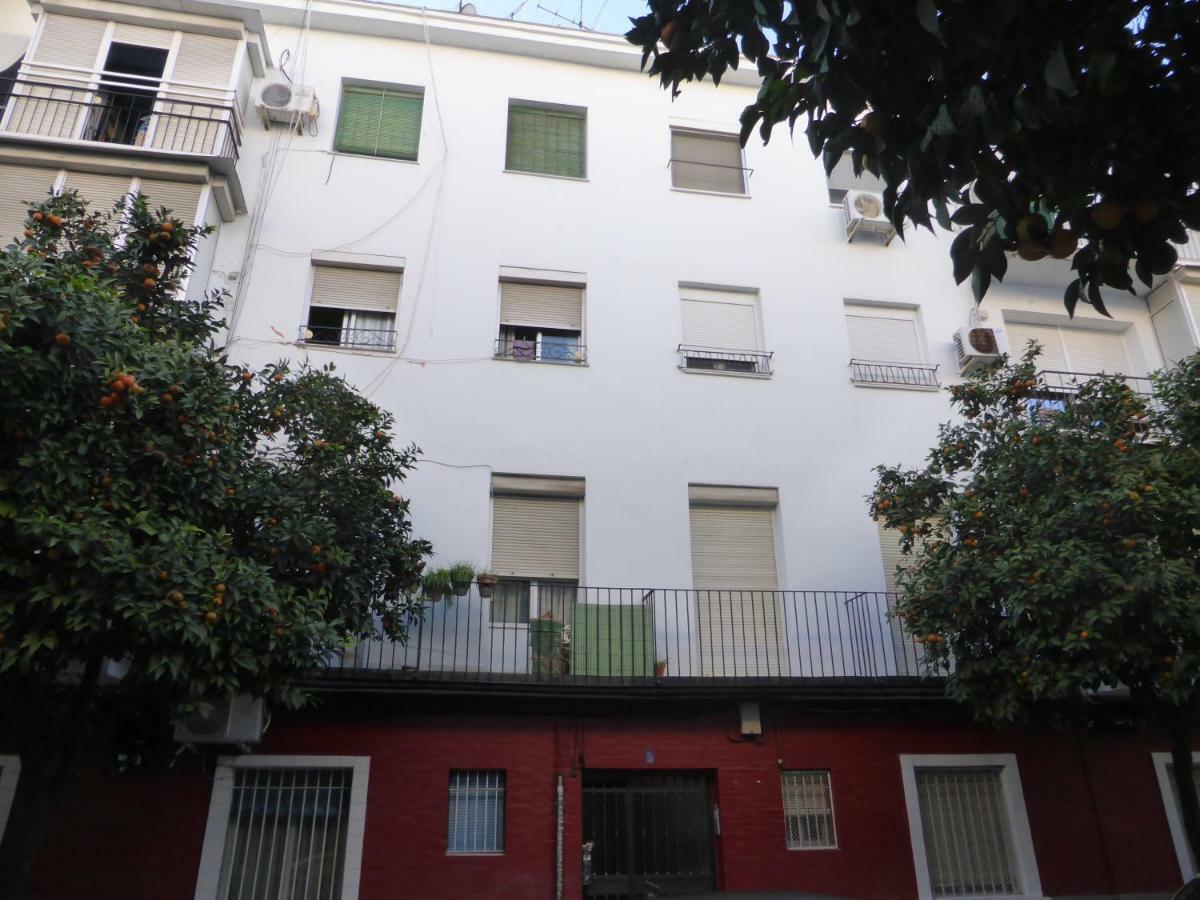 Esencia Sevilla Exteriér fotografie